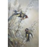 20th century school - Pair of goldfinches on teasels, pastel on paper, unsigned, 44 x 29.5cm approx,