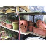 A quantity of terracotta flowerpots/planters of varying size and design, strawberry planters, etc