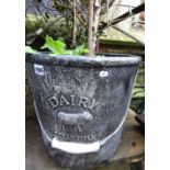 A pair of novelty contemporary garden planters in the form of dairy milk pails (planted)