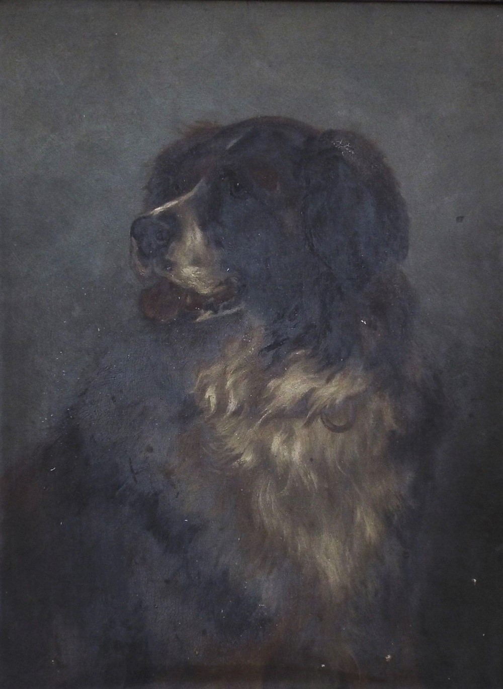 19th century British school - Shoulder length study of a St Bernard type dog, oil on canvas,