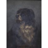 19th century British school - Shoulder length study of a St Bernard type dog, oil on canvas,