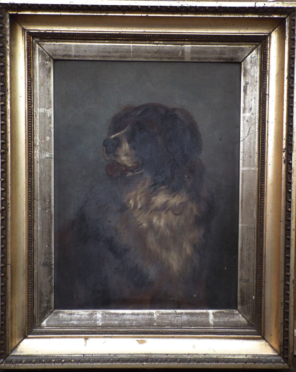 19th century British school - Shoulder length study of a St Bernard type dog, oil on canvas, - Image 2 of 3