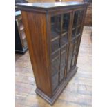 A good quality Victorian rosewood bookcase, enclosed by two astragal glazed panelled doors, within