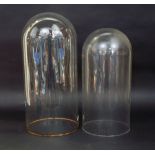 Graduated pair of glass domes, 50 and 43cm high respectively (2)