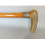 Horn handled mallaca shafted walking stick with sterling silver collar