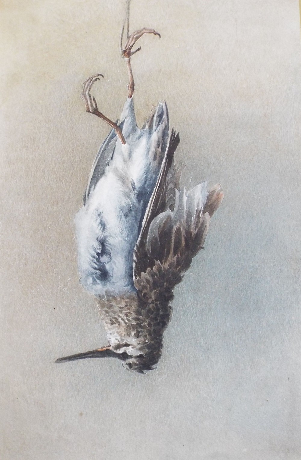 A late 19th century watercolour study of a frozen Snipe, inscribed verso February Fur or Feathers (