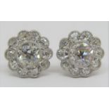 Fine pair of diamond daisy cluster stud earrings, millegrain set in unmarked white metal, central