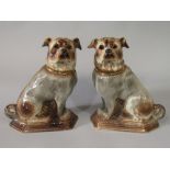 A pair of late 19th century Staffordshire model figures of seated pugs with gilt collars and glass