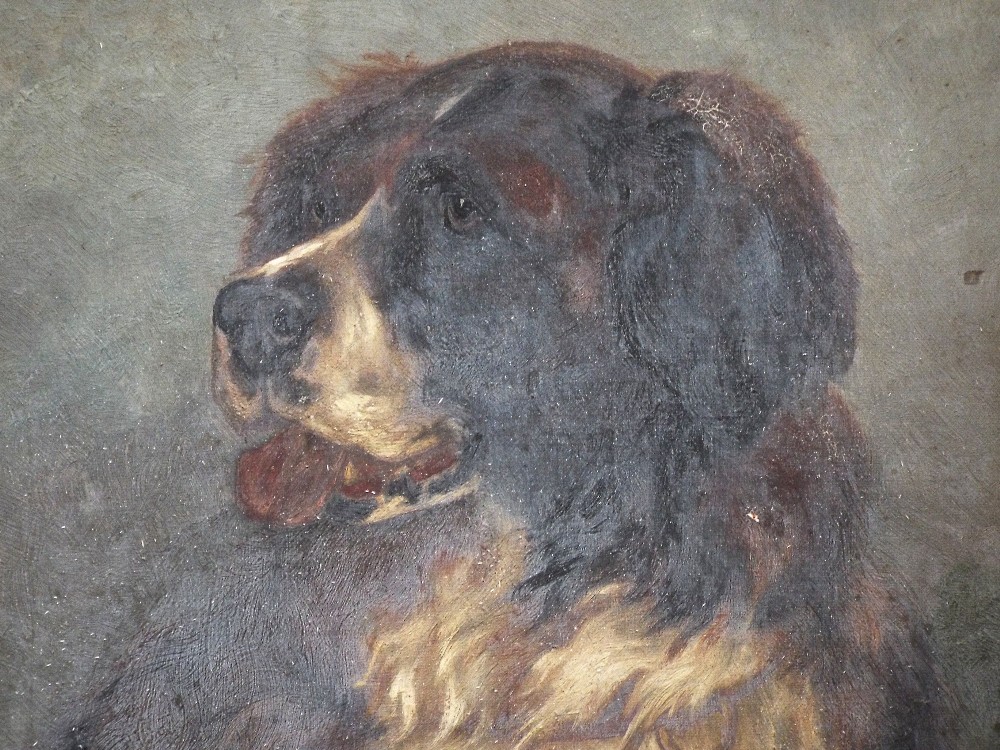 19th century British school - Shoulder length study of a St Bernard type dog, oil on canvas, - Image 3 of 3
