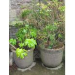 A pair of contemporary weathered mat glazed garden planters of circular form raised relief repeating