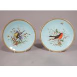 A pair of late 19th century Royal Worcester dessert plates with painted decoration of a robin and