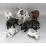 A collection of ceramic and other pig ornaments including a large model of a black and white