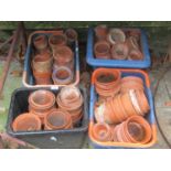 A quantity of small terracotta flower pots housed within four moulded plastic containers (AF)