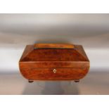A Regency burr/yew wood sarcophagus shaped tea caddy with segmented interior, raised on bun feet
