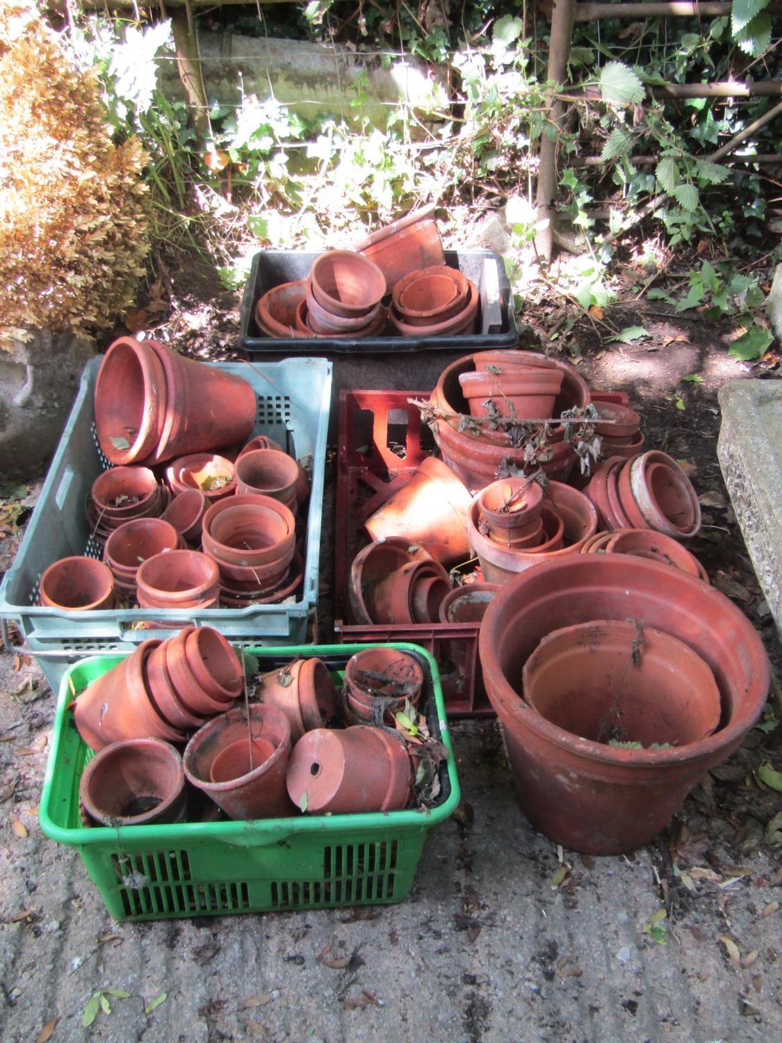 Collection of approx 100 + terracotta flower pots, 14" diameter and smaller