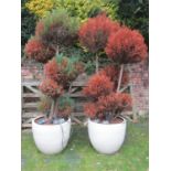 A pair of large moulded plastic planters of circular and tapered form with painted finish containing