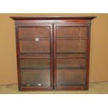 A slender 19th century mahogany wall mounted display cabinet enclosed by a pair of segmented