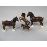 A collection of four Beswick models of shire horse comprising a rearing Shire with circular