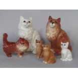 A collection of Beswick cats and kittens including a long furred ginger example, number 1867, a