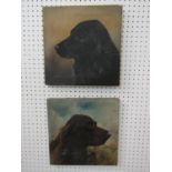 H Booth (early 20th century school) - a pair of studies of dogs heads - A brown spaniel and a