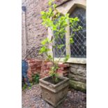 A weathered cast composition stone garden planter of square tapered form with classical repeating