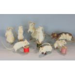 Taxidermy Interest - Four white mice and two white rats, together with a further rat (8)