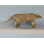 Taxidermy Interest - An Armadillo, 45 cm long