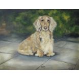 A collection of five pictures of spaniels comprising a 19th century oil on board of a pair of