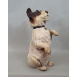 A vintage paper mache model of a terrier standing on its hind legs with painted collar- Your dog and