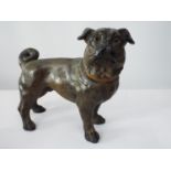 A late 19th century terracotta model of a pug, with naturalistic painted finish, 27cm high