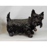 A heavy pottery figure of a terrier with earlier leather collar and bell - in a black colourway,