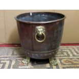 A heavy gauge copper cylindrical coal bucket with riveted seams, cast brass lions mask, ring handles