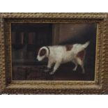 Late 19th century school - Study of a terrier with three dead rats in a barn interior setting, oil