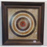 A framed butterfly wing picture in the form of a target within an oak frame, non reflection glass,