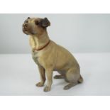 A late 19th century terracotta model of a seated terrier with naturalistic painted detail, 22cm high
