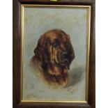 19th century school - Study of a bloodhound standing in an interior setting, oil on board, 13 x 22cm