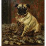 Alice M W Adye (British late 19th century school) - Study of a seated Pug in an interior setting,