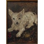 20th century school - Study of a crouching white terrier with a red ball, oil on board, unsigned, 33