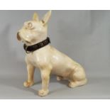 A ceramic crackle glazed French Bulldog wearing an old leather collar with brass stud and other