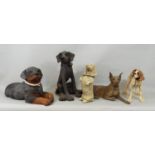 Five various models of dogs including Rottweiler, Dachshund and other hound, max height 33cm