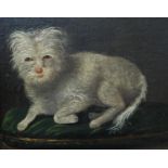 19th century school study of a recumbent white terrier on a green cushion, oil on board, unsigned,
