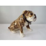 A Winstanley pottery model of a seated Bulldog in naturalistic painted finish, 28cm high