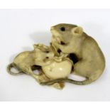Meiji Period - Ivory Okimono of two rats feasting on the leaves of a root vegetable, 9cm
