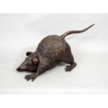 An oriental bronze figure of a pouncing rat, 37cm long