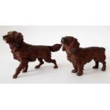 Two bronze cold painted dogs, a spaniel and retriever type studies, with naturalistic painted