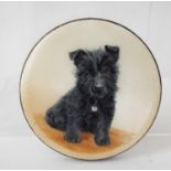 A good quality silver compact with guilloch enamel decoration of a black Scottie type pup, seated,