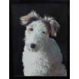 Brian Weaver (contemporary local artist) - My Friend, study of a terrier, acrylic on canvas,