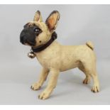 Studio pottery model of a French Bulldog standing, 30 cm height