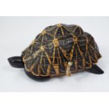 A tortoise shell fashioned to form a jewel box, the rising lid with marquetry interior set on four