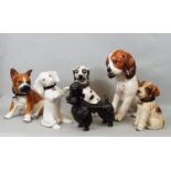Six ceramic figures of dogs, Poodle, Dachshund, Boxer, etc, 30 cm and smaller